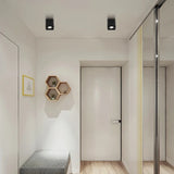 LED Ceiling light COB Spotlight Dimmable Anti-glare 9W 15W 1-2 head Swing 30° and rotate 180° Ceiling Lamp 85-265V Home business