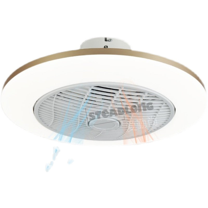 Morden LED Invisible Ceiling Fan Lamp With Remote Control Dining Room Bedroom Heating Fan Lamp Bluetooth music Light Lustre Deco