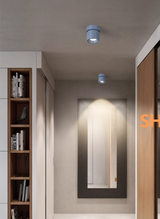 360 ° Rotatable And Foldable LED Downlights Dimmable 7W10W12W15W20W Surface Mounted Ceiling Lamp COB Spotlight AC85V-260V CRI 98