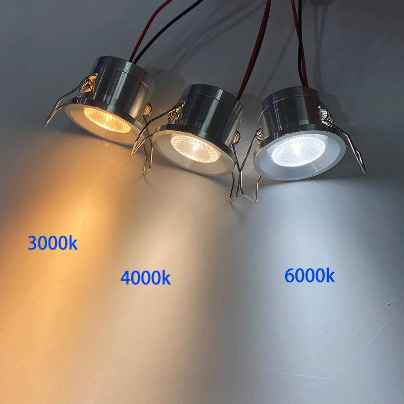 Mini 12V 1W Embedded LED Downlight Ceiling Spotlight - Small Built-in Recessed Cabinet & Bathroom Light (Silver, White, Black Shell)