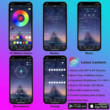 Fiber Optic LED Car Ambient Lighting - RGB Neon Interior Atmosphere Kit