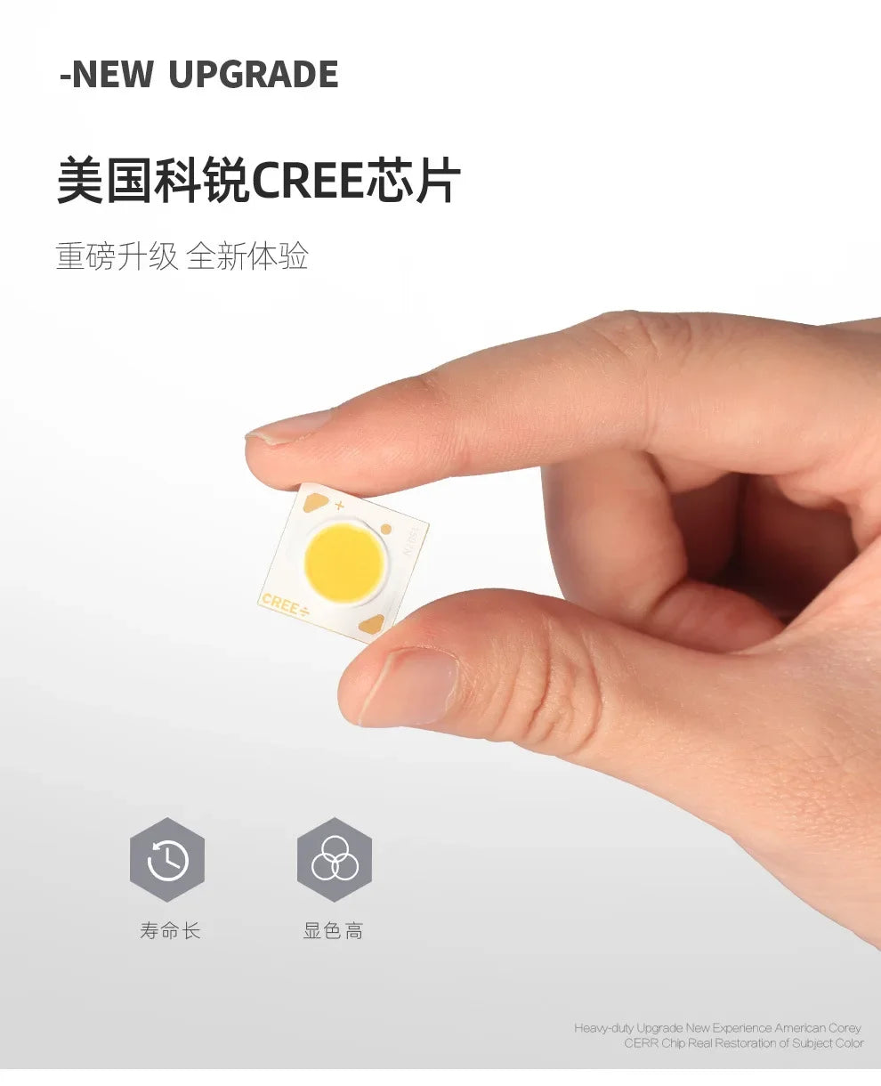 Aisilan Ceilling LED cylinder Downlight Copper brass gold with Honeycomb Anti-glare Design CRI 97 Ceiling spotlight