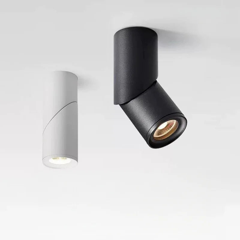 LED Downlights Dimmable 10W 15W 20W 24W Surface Mounted Ceiling Lamps Spot Light Warm /Natural /Cold White  + Driver