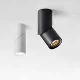 LED Downlights Dimmable 10W 15W 20W 24W Surface Mounted Ceiling Lamps Spot Light Warm /Natural /Cold White  + Driver