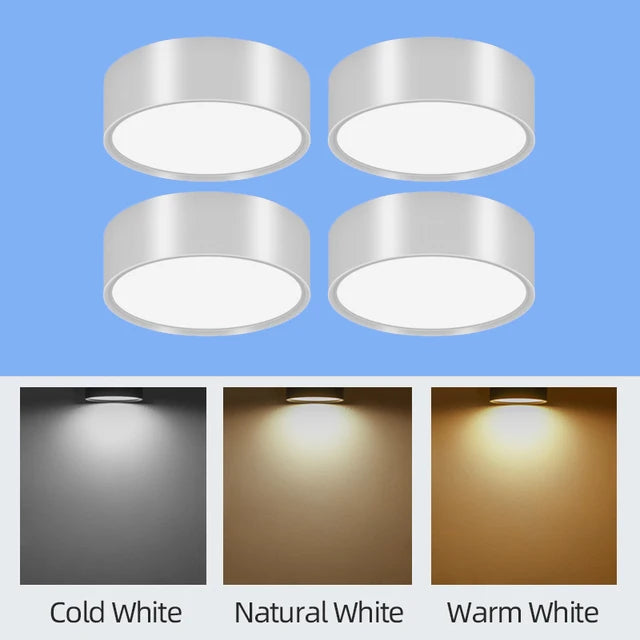 45401443762433|45401443795201|45401443827969|45401443860737|45401443926273|45401444024577|45401444057345|45401444090113|45401444122881|45401444155649|45401444188417|45401444221185|45401444385025|45401444450561|45401444483329