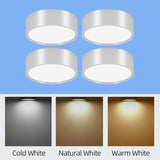 45401443762433|45401443795201|45401443827969|45401443860737|45401443926273|45401444024577|45401444057345|45401444090113|45401444122881|45401444155649|45401444188417|45401444221185|45401444385025|45401444450561|45401444483329