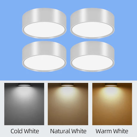 45401443762433|45401443795201|45401443827969|45401443860737|45401443926273|45401444024577|45401444057345|45401444090113|45401444122881|45401444155649|45401444188417|45401444221185|45401444385025|45401444450561|45401444483329