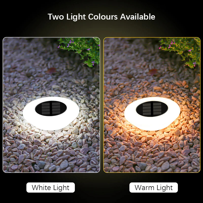 14 LED Solar Ground Lights - Waterproof Outdoor Disk Lights for Garden & Pathway