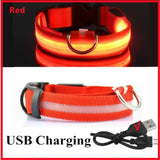 LED Glowing Dog Collar - USB Rechargeable Luminous Night Safety Collar