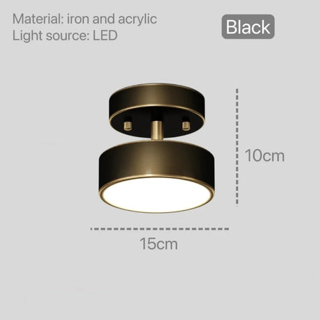 Modern Gold Led Ceiling Lights for Bedroom Hallway Corridor Balcony Round Decoration Lamp Lighting Chandelier Nordic Indoor