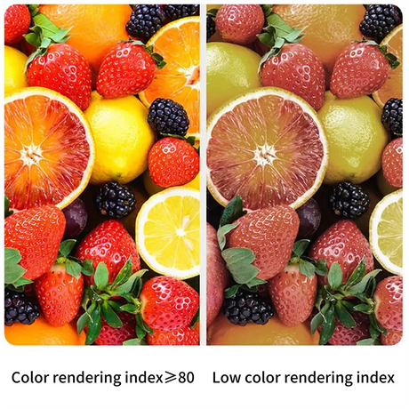 LED Spotlight MR16 12PCS GU5.3 Low Voltage AC/DC12V-24V  3-7W 120/38 Degree Warm White Light No Flicker for Home and Office