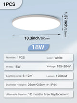 45509281579265|45509281644801|45509281710337