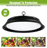 300W LED Indoor Ceiling Light Spotlight Bulb (AC110V/AC220V) - No Flicker Plug-in Lamp with US/EU Plug for Living Room & Kitchen