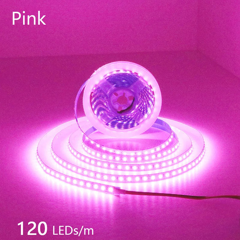 High-Density 2835 LED Strip Light | 5M 300 600 1200 LEDs | DC 12V 24V Tape