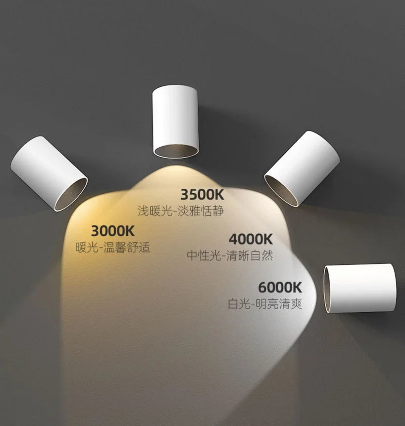 2025 New Surface Mounted Cylindrical LED Downlights Gold Reflector 24W 20W COB Led Ceiling Lamp Spot Lights AC85-260V Bulbs