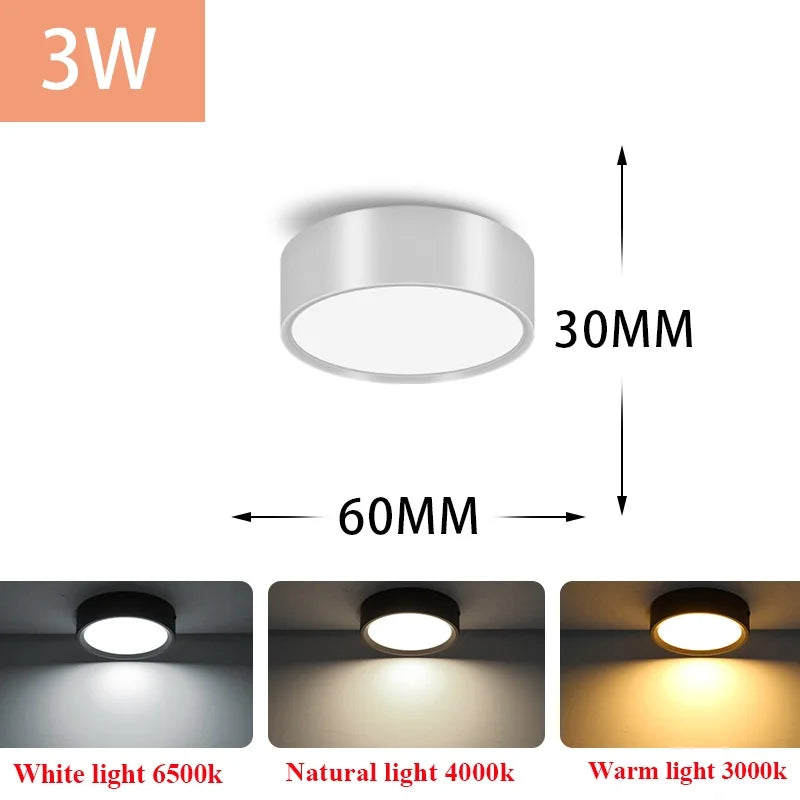 Led Downlight 220V Down Lights Surface Mounted 3/5/10/15/25W Ceiling Lamp For Indoor Living Room Bedroom Kitchen Lighting