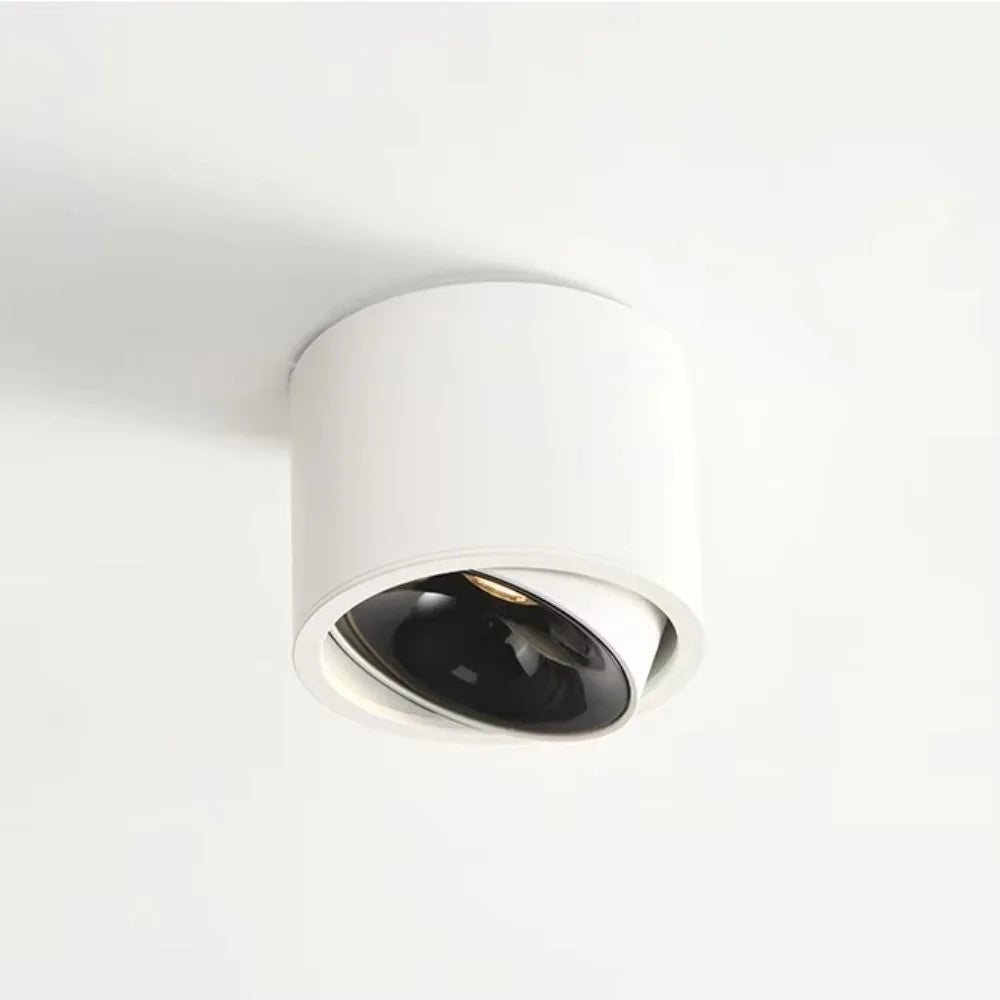 Ultra Thin Surface Mounted Rotating Anti Glare Downlight COB Ceiling Lamp Dimmable LED spotlights AC220V living room bedroom