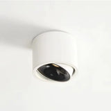 Ultra Thin Surface Mounted Rotating Anti Glare Downlight COB Ceiling Lamp Dimmable LED spotlights AC220V living room bedroom
