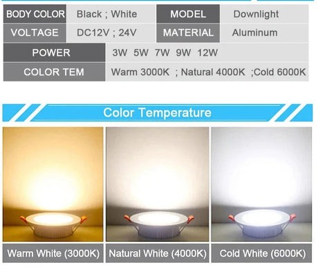 LED Downlight 12V DC 3W 5W 7W 9W 12W LED Spot Light Mini 24V Voltage Waterproof LED Decoration Ceiling Lamp Bathroom Panel Light