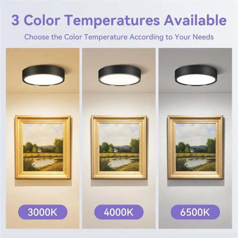 Led Downlight 220V Down Lights Surface Mounted 3/5/10/15/25W Ceiling Lamp For Indoor Living Room Bedroom Kitchen Lighting
