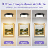 Led Downlight 220V Down Lights Surface Mounted 3/5/10/15/25W Ceiling Lamp For Indoor Living Room Bedroom Kitchen Lighting