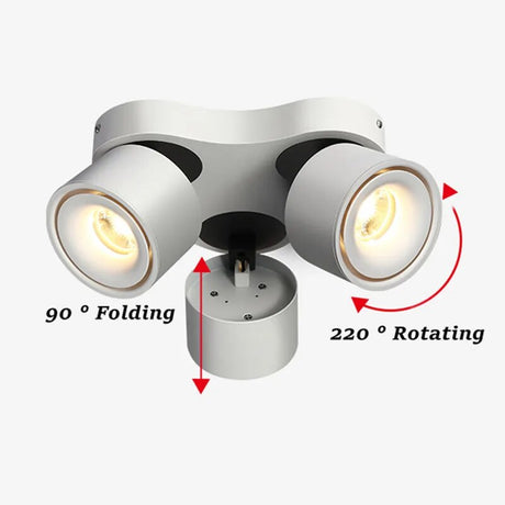 Three-Head Bright Spot Lamp LED Simple Lamp Ceiling Flower Lamp Cloakroom Bedroom Study Individual Creative Ownerless Lamps