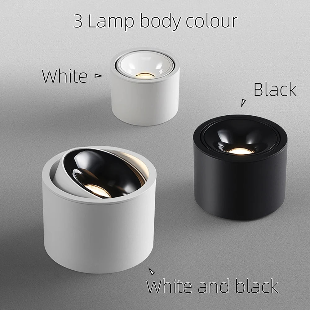 Surface-Mounted LED Ceiling Light Dimmable Spotlight Downlight Adjustable Brightness Modern Design for Home Commercial Lighting