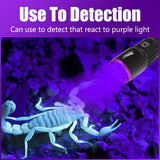 395NM UV Flashlight Rechargeable Ultraviolet Torch Pet Urine Scorpion Detector UV Lamp Anti-counterfeiting Bill Seal Detector