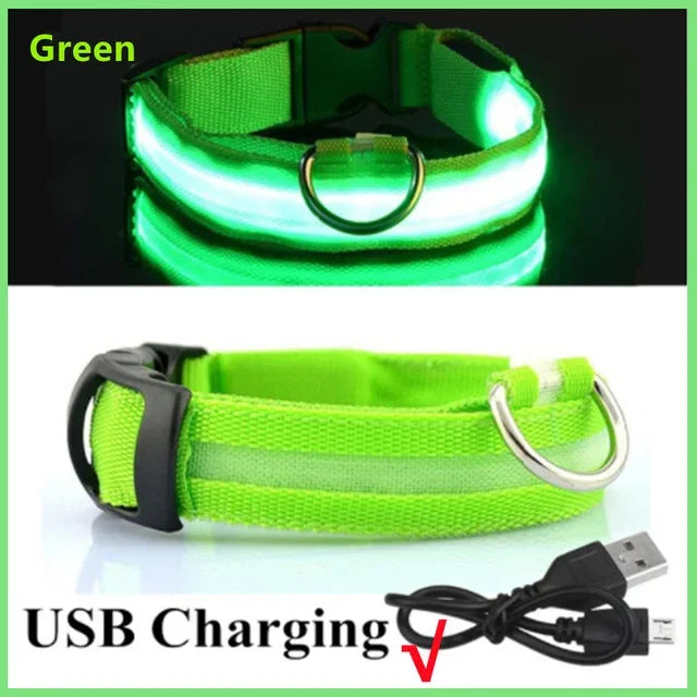 LED Glowing Dog Collar - USB Rechargeable Luminous Night Safety Collar