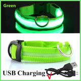 LED Glowing Dog Collar - USB Rechargeable Luminous Night Safety Collar