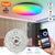 220V 40W Smart Ceiling Lamp Module RGB Dimming Work with Alexa Google Tuya Smart WiFi Control DIY Ceiling Light for Room Decors