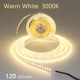 High-Density 2835 LED Strip Light | 5M 300 600 1200 LEDs | DC 12V 24V Tape