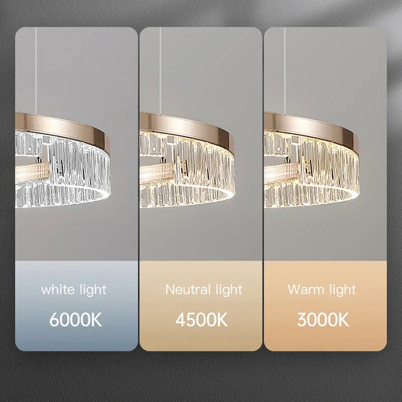 Modern Luxury Style Led Chandelier For Living Room Bedroom Dining Room Pale Gold Luster Lamp Round Ring Design Pendant