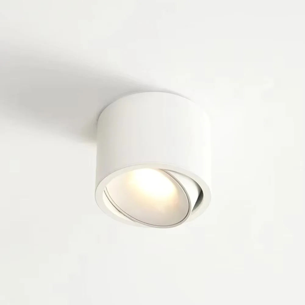 Ultra Thin Surface Mounted Rotating Anti Glare Downlight COB Ceiling Lamp Dimmable LED spotlights AC220V living room bedroom