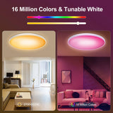Smart RGBWW WiFi LED Ceiling Lamp - Magic Home App & Voice Control Lighting