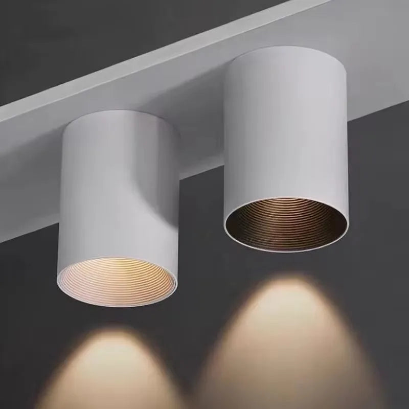 2025 New Surface Mounted Cylindrical LED Downlights Gold Reflector 24W 20W COB Led Ceiling Lamp Spot Lights AC85-260V Bulbs