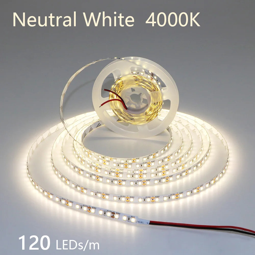 High-Density 2835 LED Strip Light | 5M 300 600 1200 LEDs | DC 12V 24V Tape