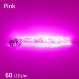High-Density 2835 LED Strip Light | 5M 300 600 1200 LEDs | DC 12V 24V Tape