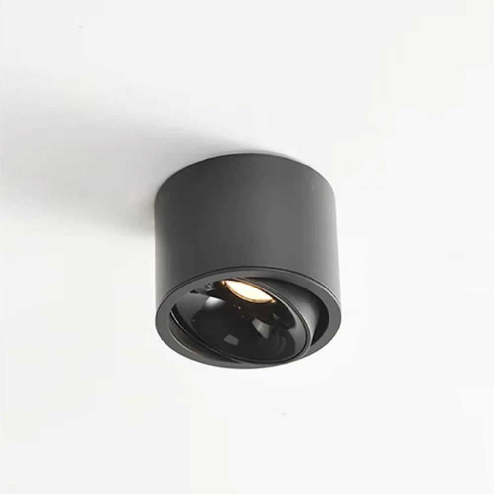 Ultra Thin Surface Mounted Rotating Anti Glare Downlight COB Ceiling Lamp Dimmable LED spotlights AC220V living room bedroom