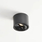 Ultra Thin Surface Mounted Rotating Anti Glare Downlight COB Ceiling Lamp Dimmable LED spotlights AC220V living room bedroom