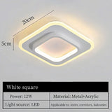 Modern Nordic LED Ceiling Light - Luxury Metal Lamp for Living Room