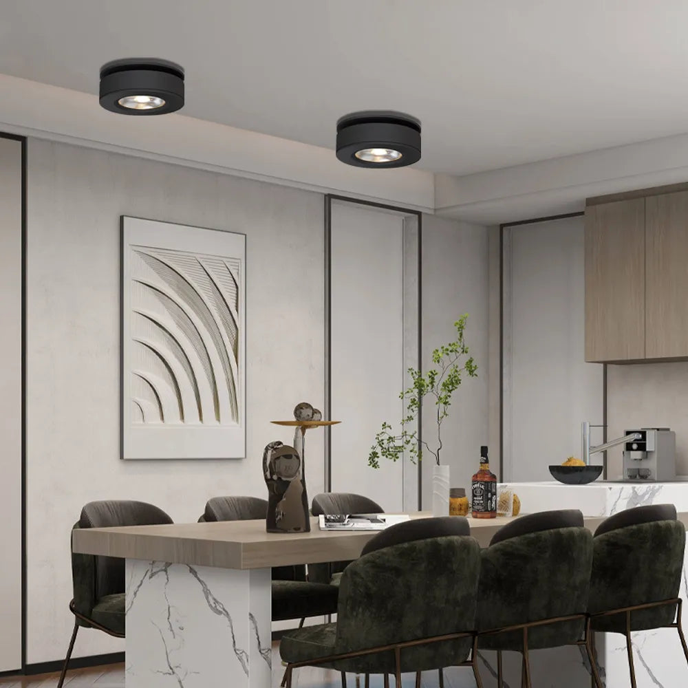 LED Adjustable Dimmable Ceiling Spotlight Spot Light Downlight White Black Spotlight for Hallway Gallery Display Living Room