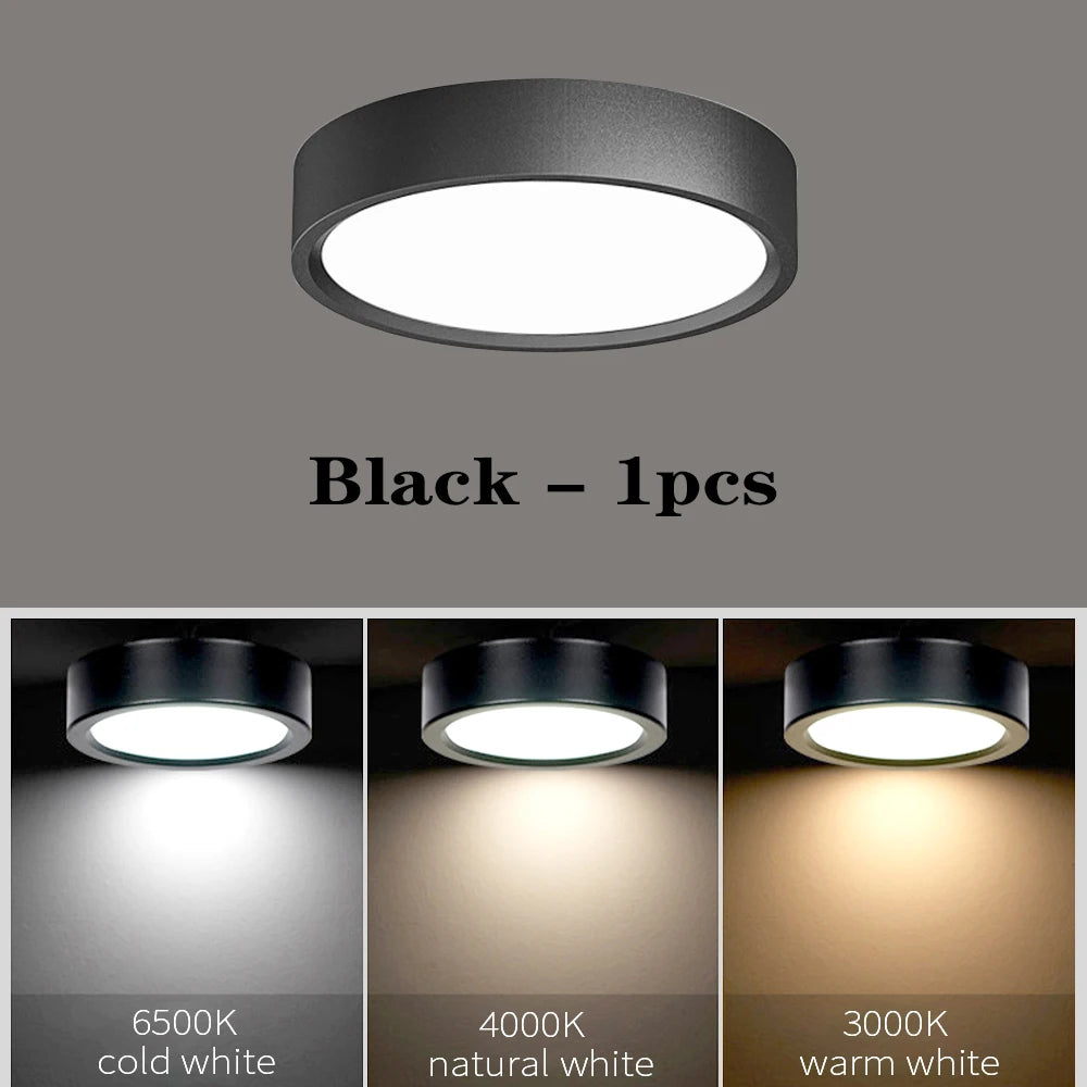LED Ceiling Light 5W 10W 15W 18W 24W Surface Mounted Downlight Ceiling Lamp for Living Room Kitchen 220V Spotlight Panel Lights