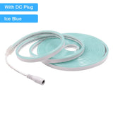 12V/24V Waterproof Flexible LED Neon Strip Light (6x12mm Silicone Rope) - DIY Neon Sign Light with DC Plug / 2-Pin Wire Option