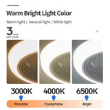 Ceiling Fan With Led Light And Romote Control Electric Fan Silent Fan 18 Inch Fans Bedroom Decoration Lamp For Home 110V/220V