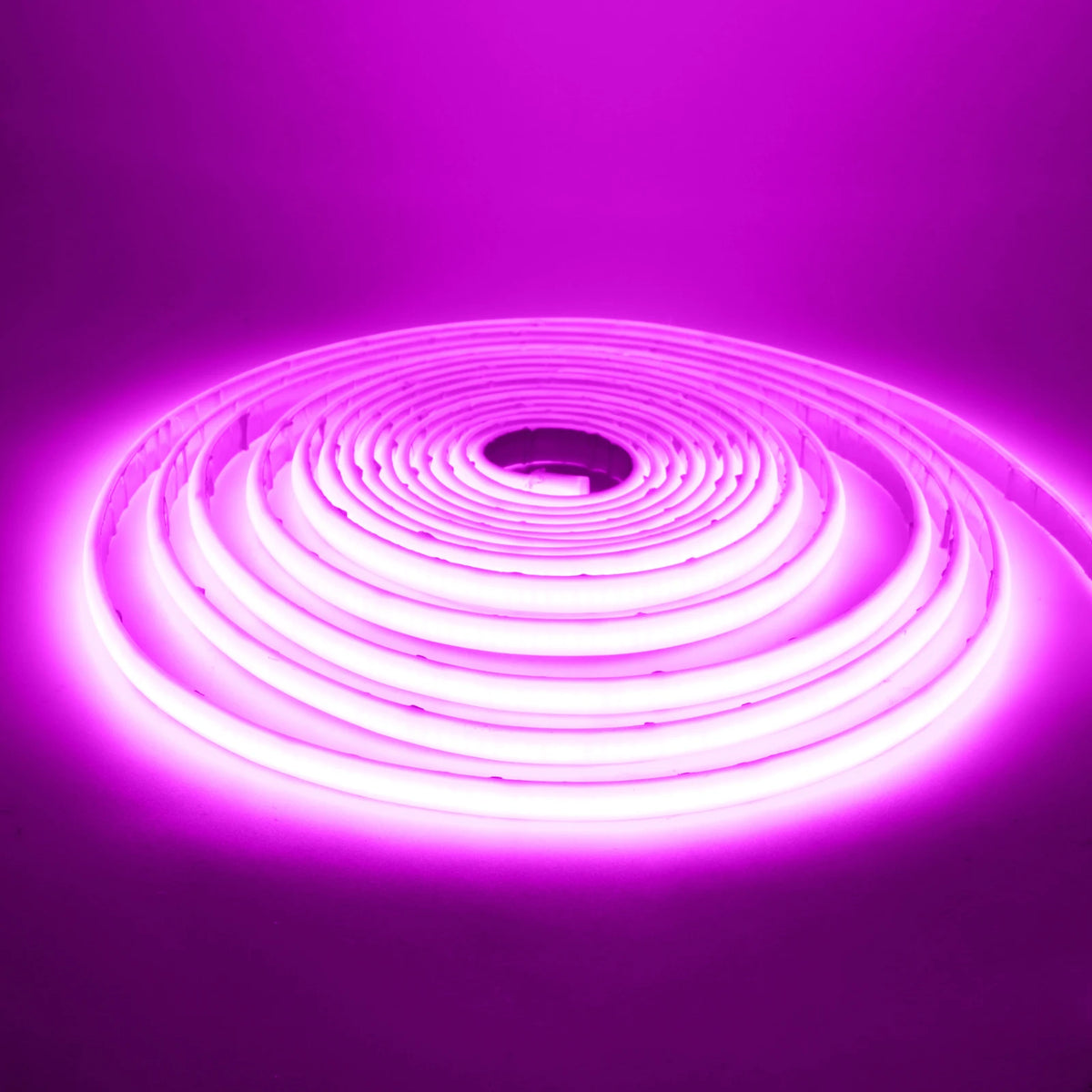 IP68 Waterproof COB LED Neon Strip Light (12V / 24V, 320 LEDs/m) - Flexible Outdoor Garden Decor Ribbon Tape in White, Red, Blue, Green & Pink