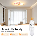 LED Ceiling Light Heart Shaped Flush Mount Lamp Acrylic Ceiling Lamp Dimmable Chandelier W/Remote 220V/110V for Children's Room
