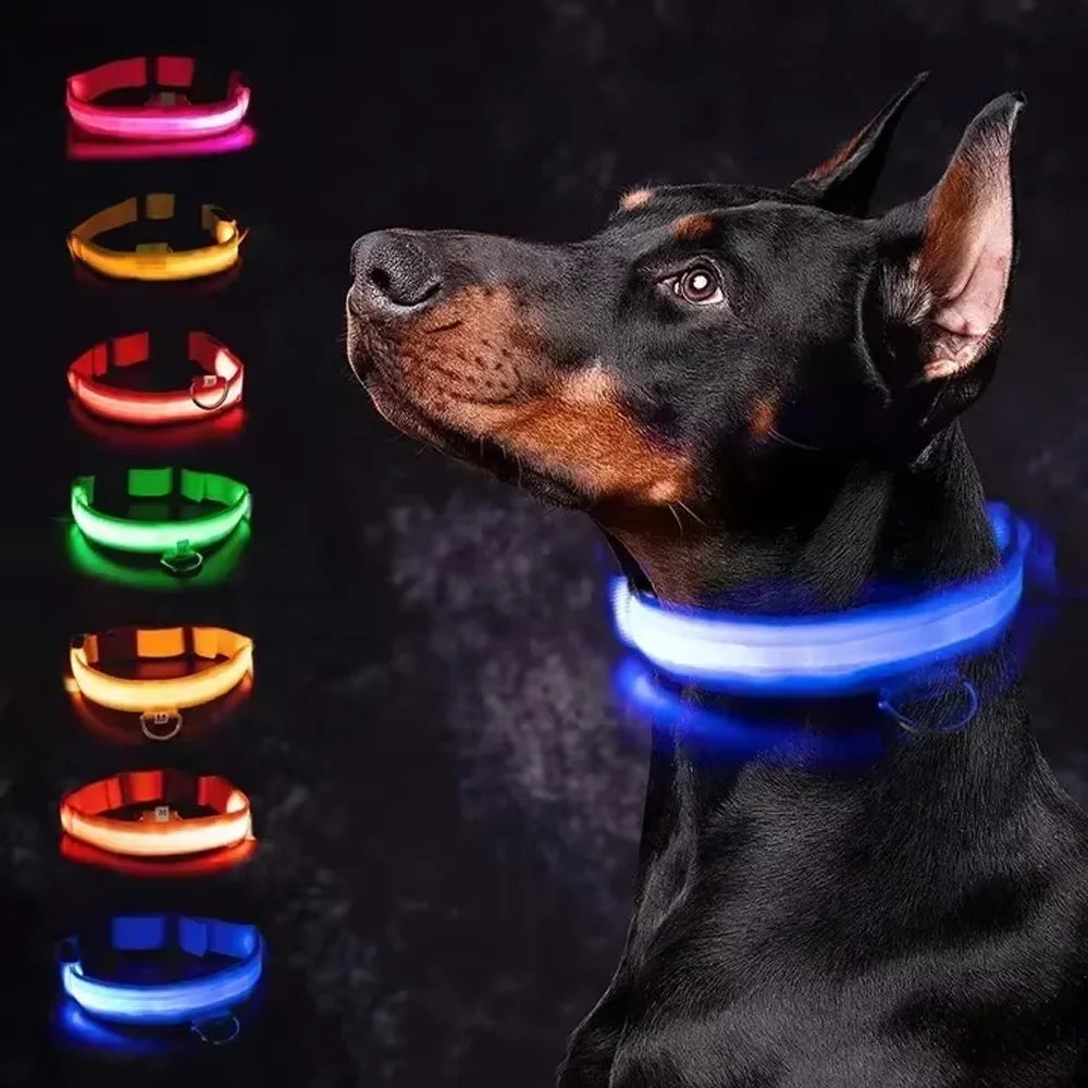 LED Glowing Dog Collar - USB Rechargeable Luminous Night Safety Collar