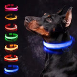 LED Glowing Dog Collar - USB Rechargeable Luminous Night Safety Collar
