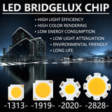 COB LED Chip 3W 5W 7W 10W 20W 30W 40W Light Emitting Diode LED Module Matrix 1313 2020 2828 1919 for Bulb Downlights